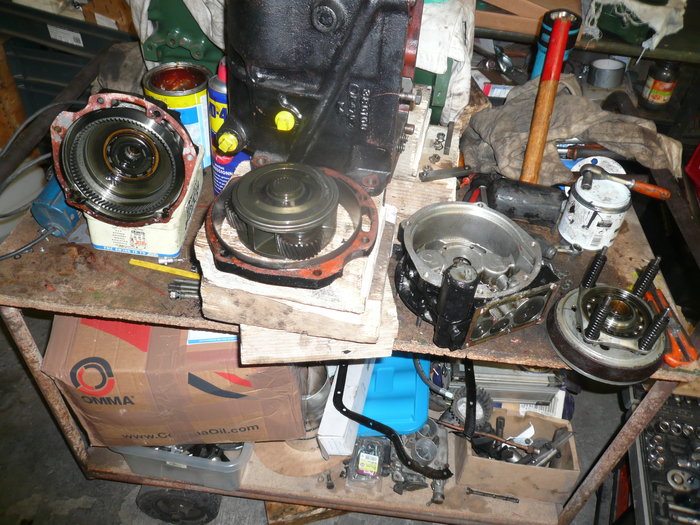 P1010742.JPG