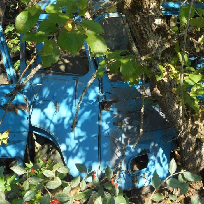 DSCN2110.jpg