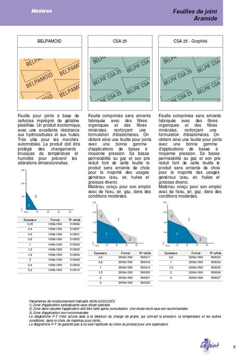 cojoint page5.jpg