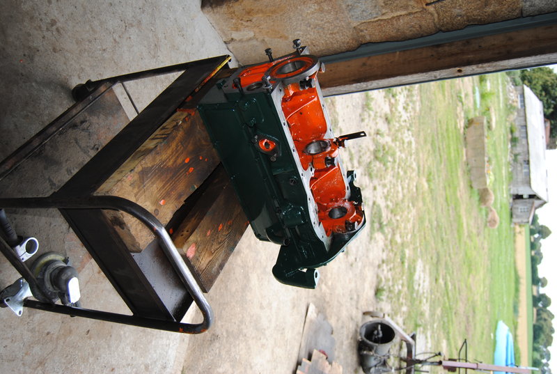DSC_1572.JPG