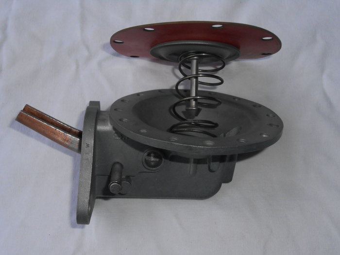 DSCN1924.jpg