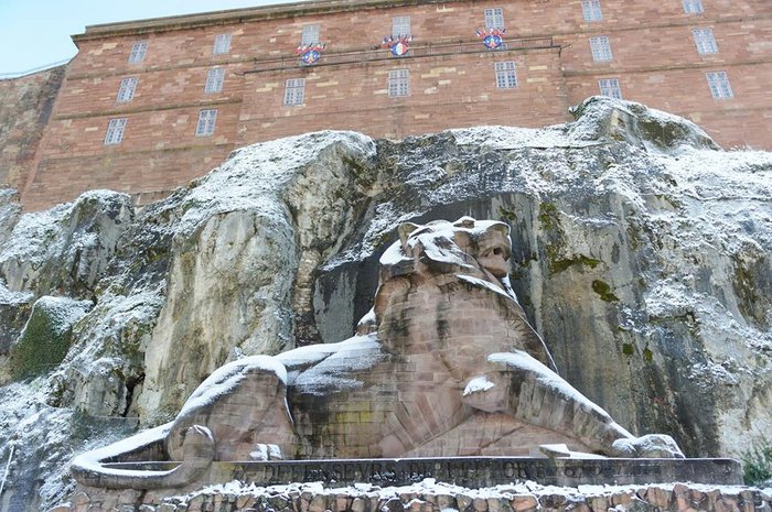 Lion neige.jpg