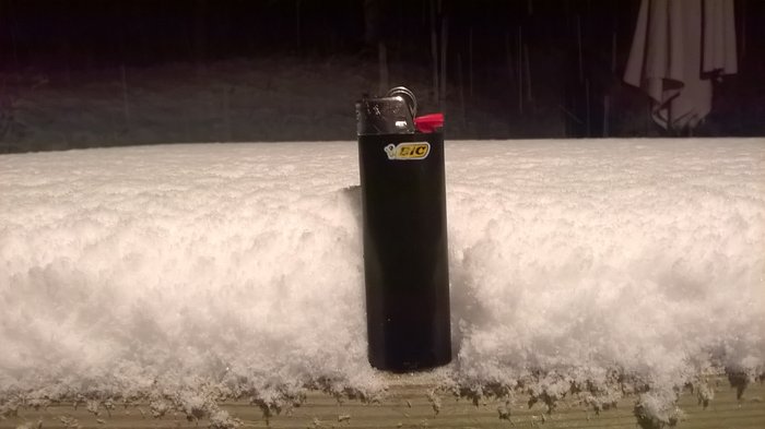 WP_20190131_027.jpg
