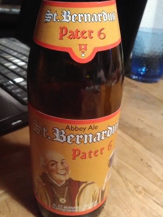 BIERE  ST BERNARDUS.jpg