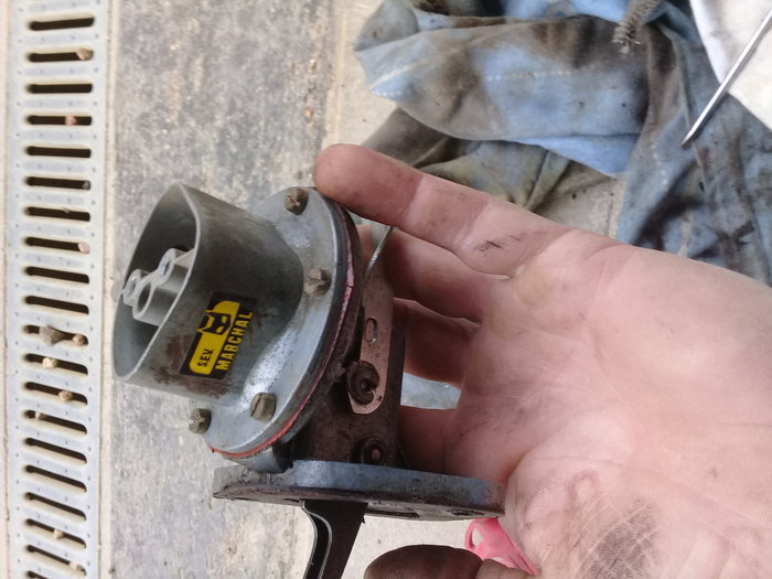 20190310_103416.jpg