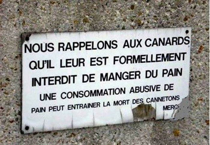 Canards pain FB Le Canard.jpg