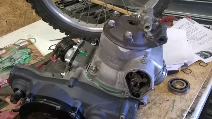 WP_20190608_022.jpg