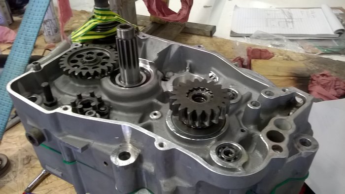 WP_20190608_008.jpg