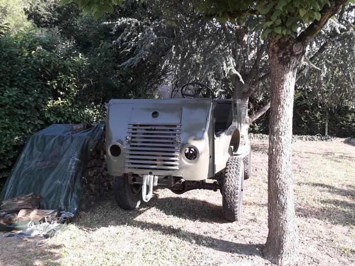 20190705_182603.jpg
