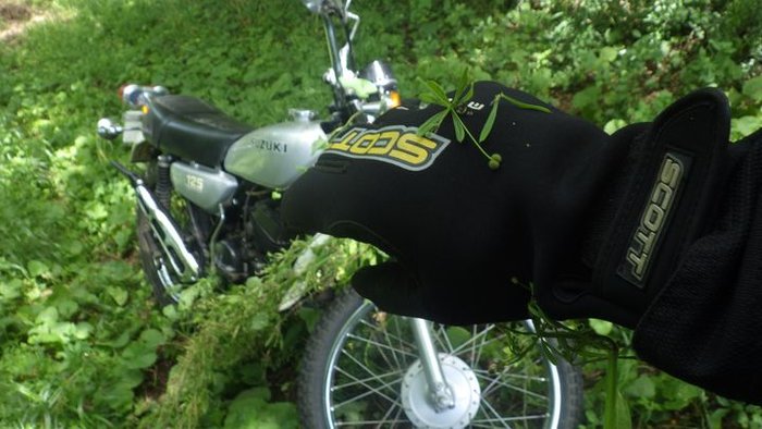 RIMG2602.JPG