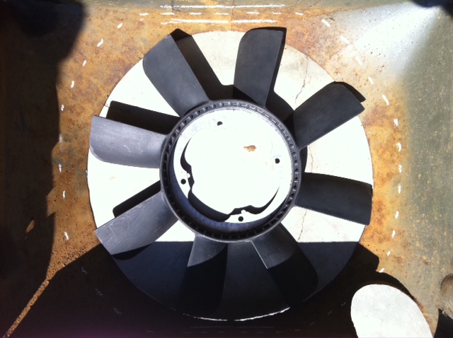 noire 8 pales 36cm (5).JPG