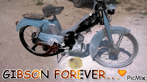 Gibson.gif