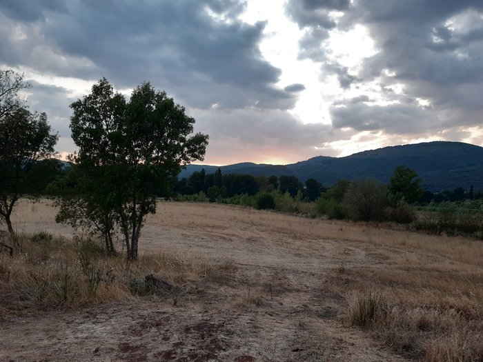 20190828_200922.jpg