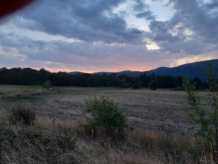 20190828_201147.jpg