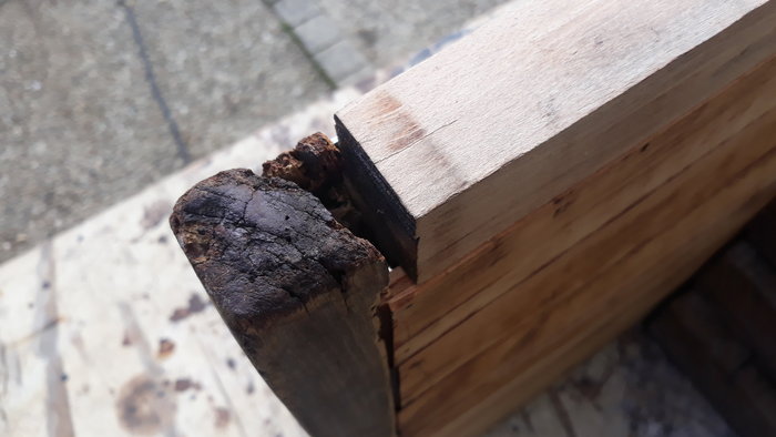 20190928_105404.jpg