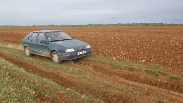 RIMG2696.JPG