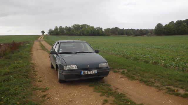 RIMG2695.JPG
