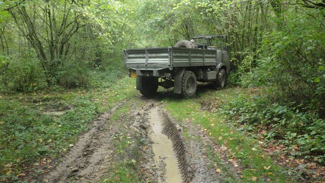 RIMG2718.JPG