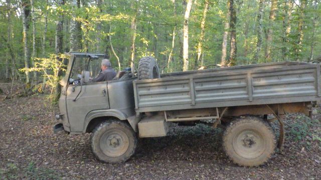 RIMG2729.JPG