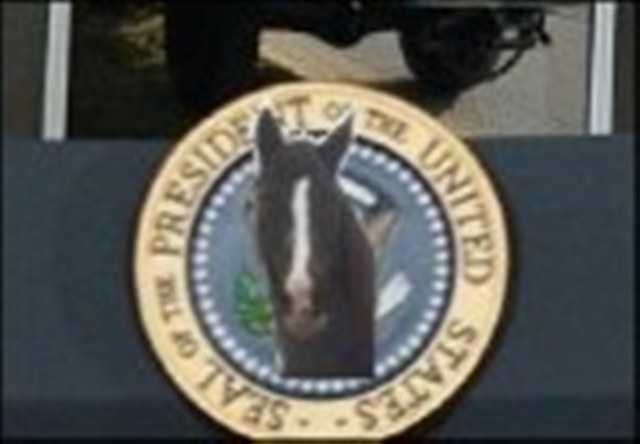 TexaneprésidenteB (2).jpg