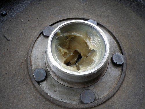 IMGP4025.jpg