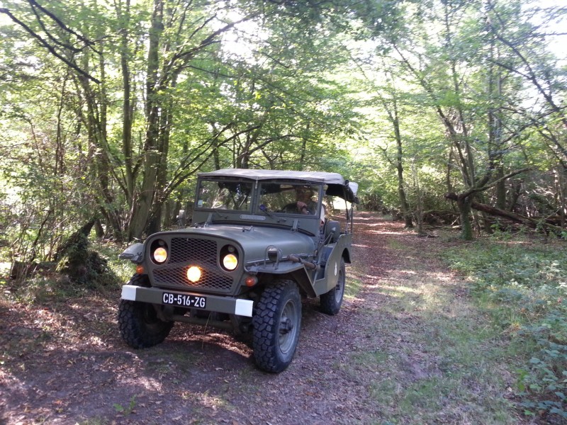20150905_101120.jpg