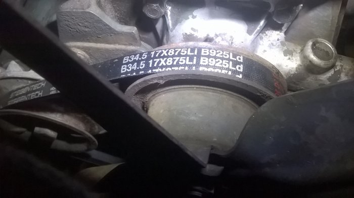 WP_20191203_004.jpg