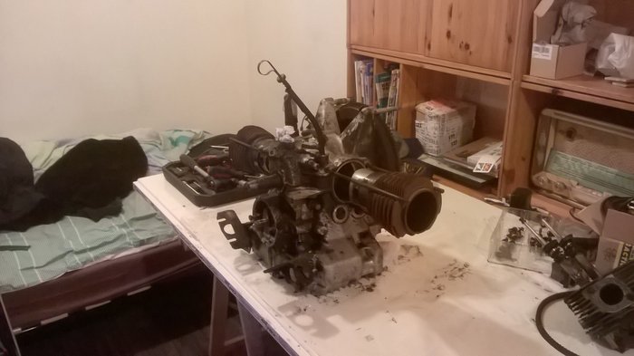 WP_20160309_007.jpg