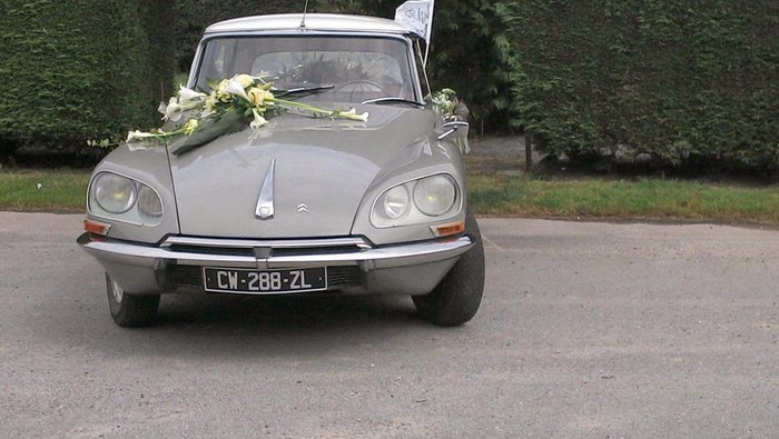 ds71 2.jpg
