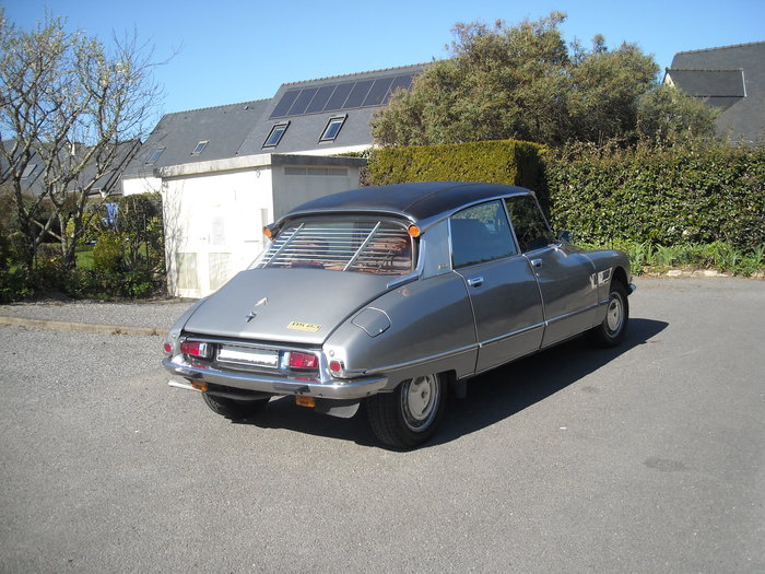 ds 23 pallas 003.JPG