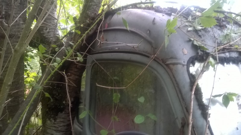 WP_20150915_008.jpg