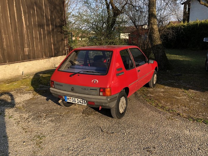 Pijo 01.jpg