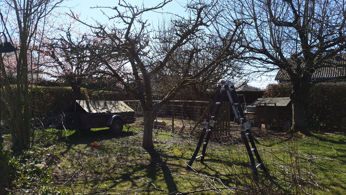 IMG-20200322-WA0005.jpeg