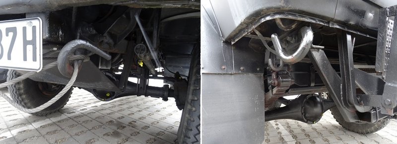 queues de cochons.jpg