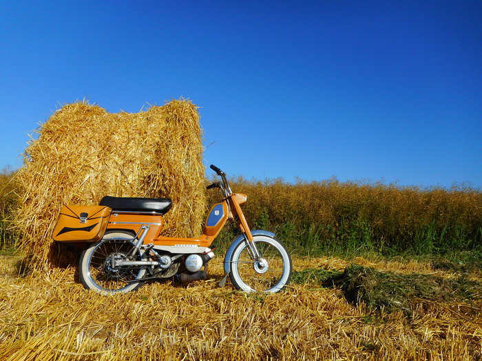 DSCN6606.JPG
