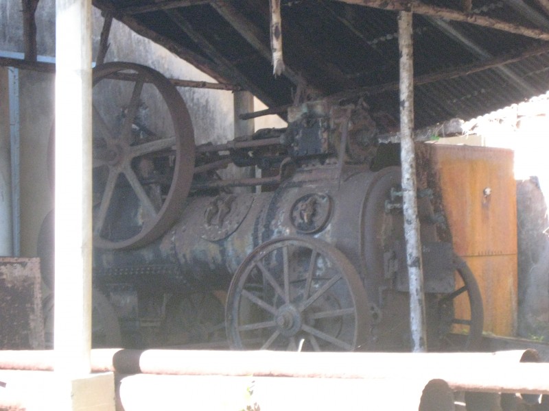 IMG_1446.JPG