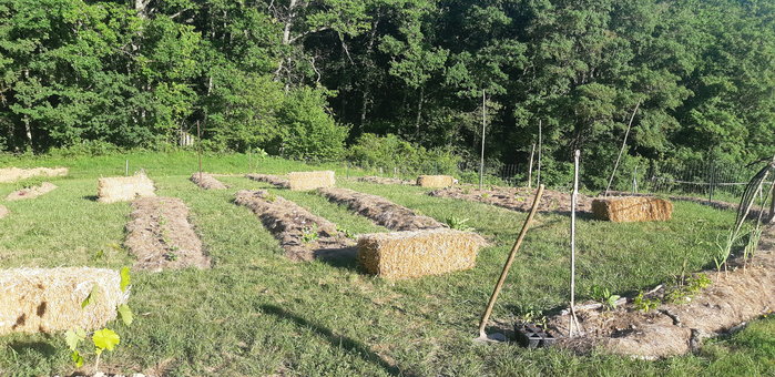20200528_183951.jpg