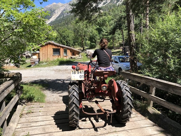 Farmall 06.jpg