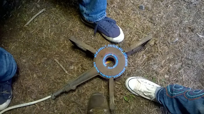 WP_20200609_011.jpg
