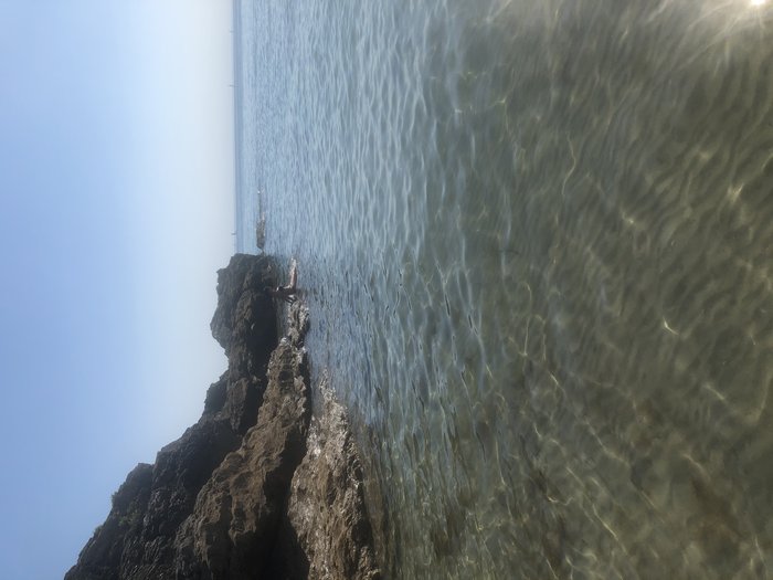 797FF5EE-62AF-49AB-9568-6BF4F009BBFA.jpeg