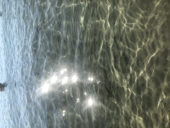359C0512-8978-466F-8A9D-9915219B72D7.jpeg