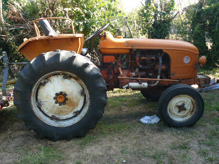 P1100665.JPG