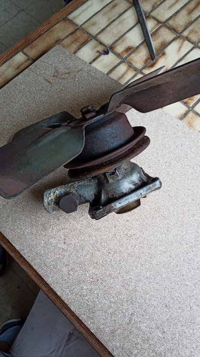 IMG_20200919_102122.jpg