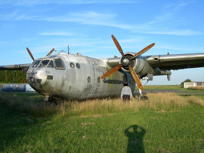 Grise 03.jpg