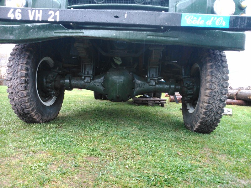 DSC_0559.jpg