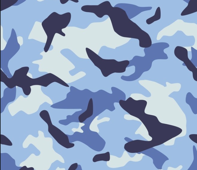 marine camouflage.jpg