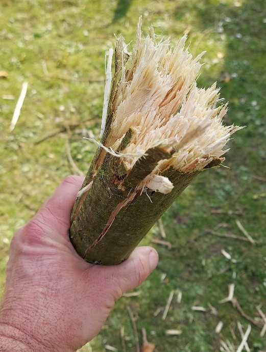 E4.jpg