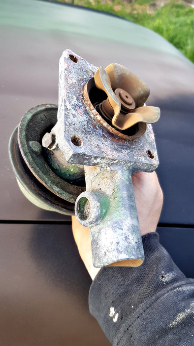 20210317_165522 copie.jpg