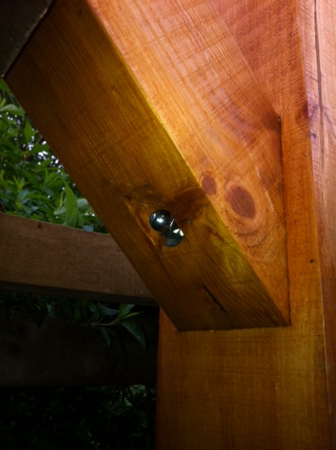 photo.JPG