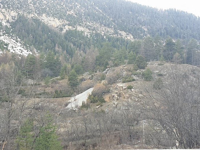 Bouquetin 01.jpg